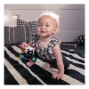 Bright Starts Oball Autó és csörgő 2in1 #Curious Car #Zen zebra #16772-6