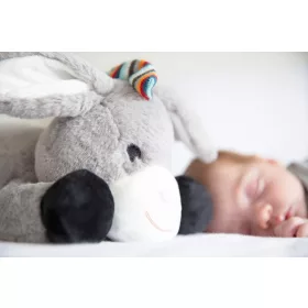 Zazu Plüss zenélő #DON csacsi #ZA-DON-01