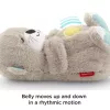 Fisher-Price Szunyókáló vidra #FXC66