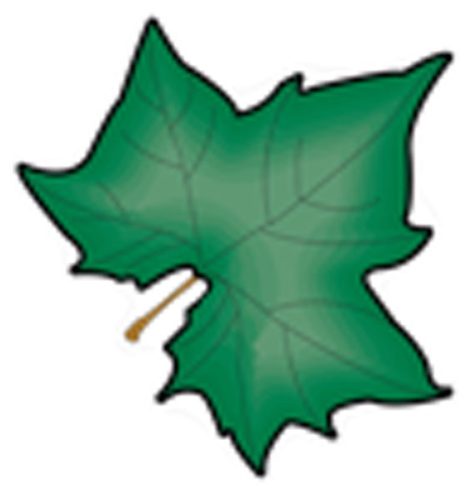 Óvodai jelkészlet 16 darabos #Falevél juhar