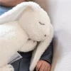 Doomoo Snoogy Bunny 2in1 játék nyuszi melegtőpárna levendulás - Milky #SY20