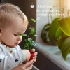 Chicco Hintőpor kukoricakeményítővel talkummentes #130g #CH0128000