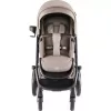 Britax Römer Smile 5Z Comfort Core Set 3in1 Teak - mózeskosár Teak - Baby-Safe Core Frost Grey