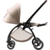 Britax Römer Rio Essential STYLE Szett Teak (Rio babakocsi + mózeskosár)
