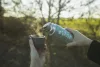 Zopa 400 ml-es termosz szilikon fogantyúval - virágok Flowers #ZOP086260