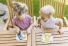 Zopa Fa kis puzzle - róka Fox #ZOP086611