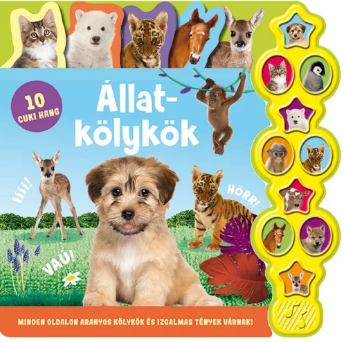 Könyv - Hallgasd meg a hangomat! - Állatkölykök