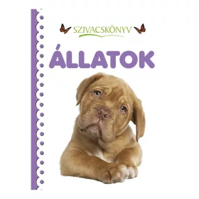 Könyv - Szivacskönyv - Állatok