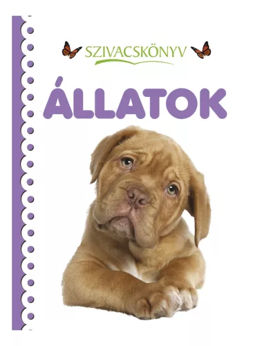 Könyv - Szivacskönyv - Állatok