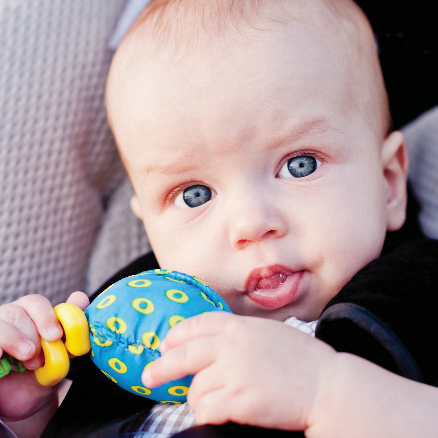 Öt szarvashiba nyári, gyerekes autózásnál!