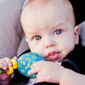 Öt szarvashiba nyári, gyerekes autózásnál!